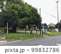 公園 99832786