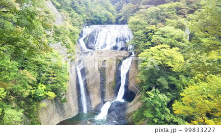 夏の袋田の滝 茨城県 夏の袋田の滝 茨城県 99833227