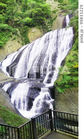 夏の袋田の滝 茨城県 夏の袋田の滝 茨城県 99833229
