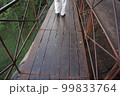 アジアのつり橋 99833764