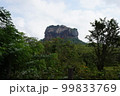 アジアの世界遺跡　天空の城　sigiriya rock　 99833769
