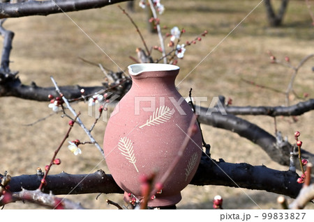 撮影は長瀞石畳場です。 撮影は長瀞石畳場です。 99833827