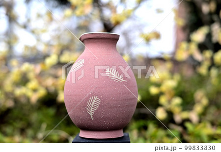 背景は蝋梅の花です 背景は蝋梅の花です 99833830