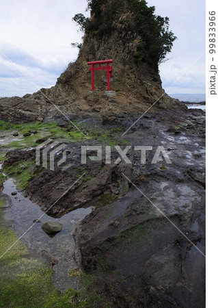 千葉県鴨川鯛の浦の潮が引いた海と小弁天 千葉県鴨川鯛の浦の潮が引いた海と小弁天 99833966