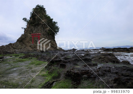 千葉県鴨川鯛の浦の潮が引いた海と小弁天 千葉県鴨川鯛の浦の潮が引いた海と小弁天 99833970