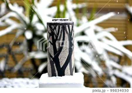 埼玉の雪化粧 埼玉の雪化粧 99834030