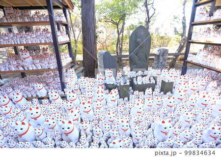 豪徳寺　招き猫 99834634