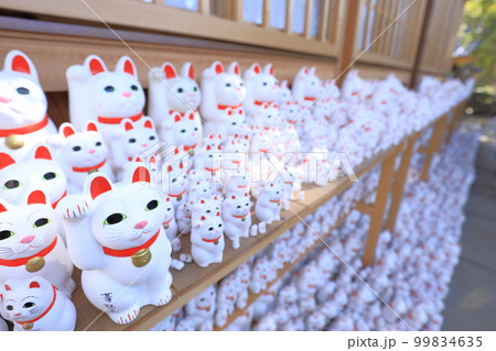 豪徳寺 招き猫 豪徳寺 招き猫 99834635