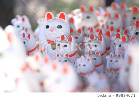 豪徳寺　招き猫 99834671