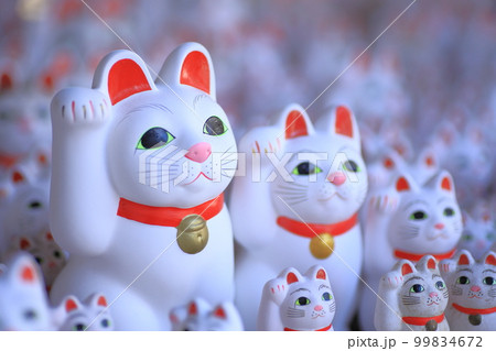 豪徳寺　招き猫 99834672
