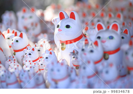 豪徳寺 招き猫 豪徳寺 招き猫 99834678