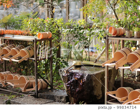 秋のお寺の蹲 99834714