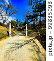 【山梨県甲府市】躑躅ヶ崎館の跡地 99835093