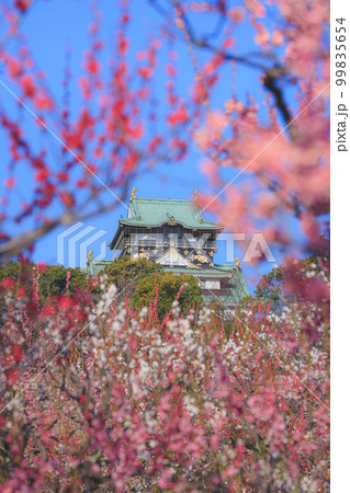 大阪城梅林 99835654