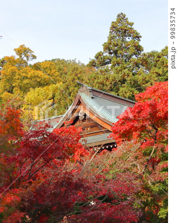 秋の境内 99835734