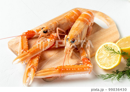 新鮮なスカンピ（手長海老） 99836430