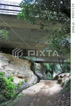 朝夷奈切通 朝夷奈切通 99837139