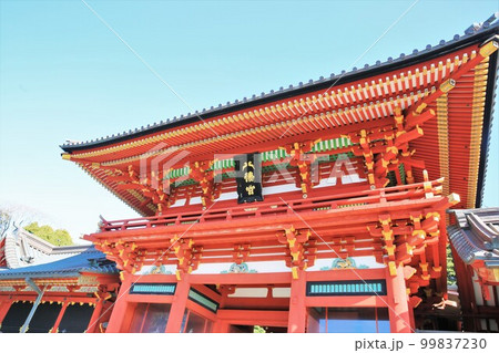 鶴岡八幡宮 鶴岡八幡宮 99837230