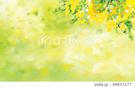 可愛い　おしゃれ　ミモザの背景イラスト 99837277