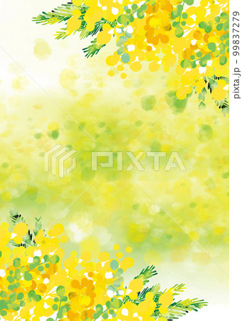 可愛い　おしゃれ　ミモザの背景イラスト 99837279