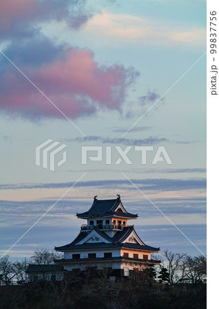 千葉県/ 夕陽を浴びる館山城（館山城跡） 99837756