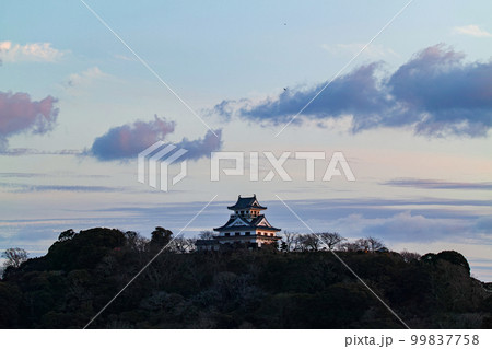 千葉県/ 夕陽を浴びる館山城（館山城跡） 99837758