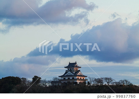 千葉県/ 夕陽を浴びる館山城（館山城跡） 99837760