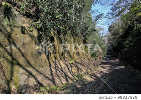 朝夷奈切通 朝夷奈切通 99837839