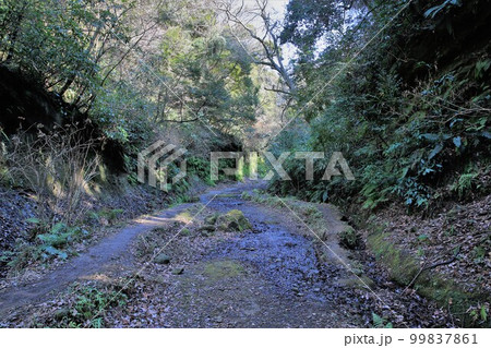 朝夷奈切通 朝夷奈切通 99837861