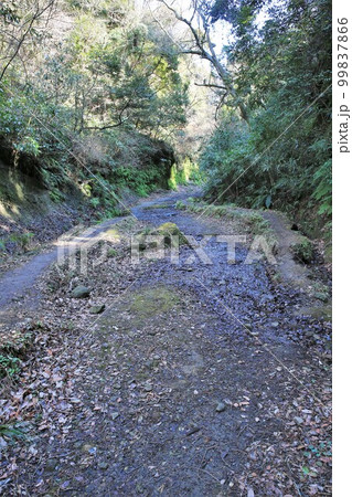 朝夷奈切通 99837866