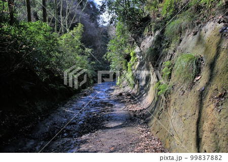 朝夷奈切通 99837882