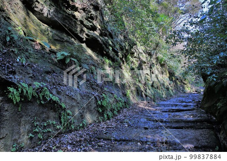 朝夷奈切通 朝夷奈切通 99837884