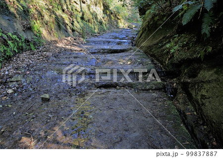 朝夷奈切通 朝夷奈切通 99837887