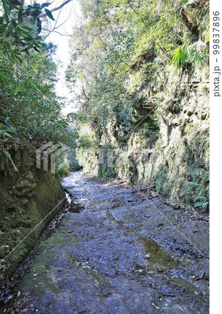 朝夷奈切通 99837896