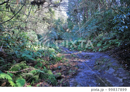 朝夷奈切通 朝夷奈切通 99837899