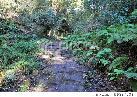 朝夷奈切通 99837902