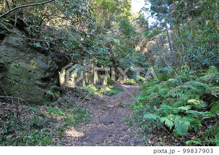 朝夷奈切通 朝夷奈切通 99837903