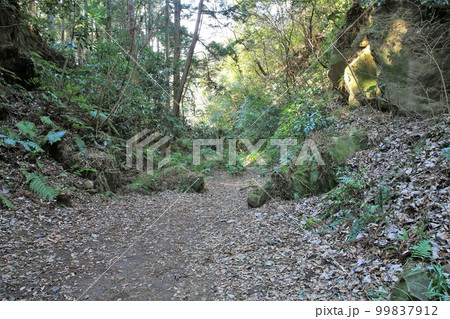 朝夷奈切通 朝夷奈切通 99837912