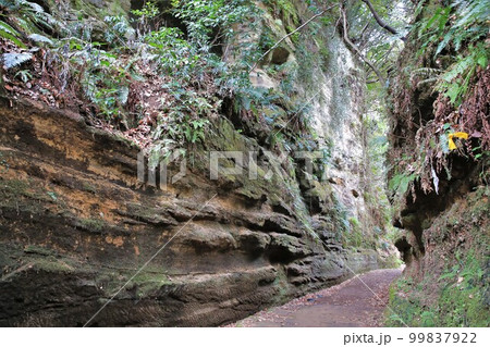 朝夷奈切通 99837922