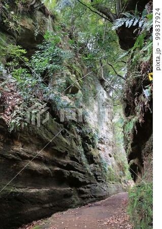 朝夷奈切通 朝夷奈切通 99837924