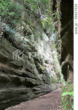 朝夷奈切通 朝夷奈切通 99837926