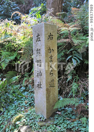 熊野神社 99837989