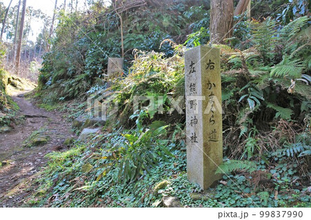 熊野神社 99837990