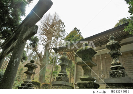 熊野神社 99837995
