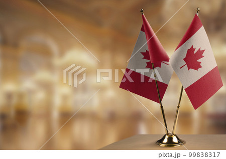 Small flags of the Canada on an abstract blurry background 99838317