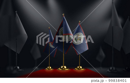 The Belize national flag on the red carpet 99838401