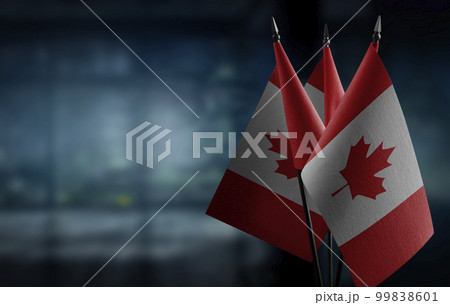 Small flags of the Canada on an abstract blurry background 99838601