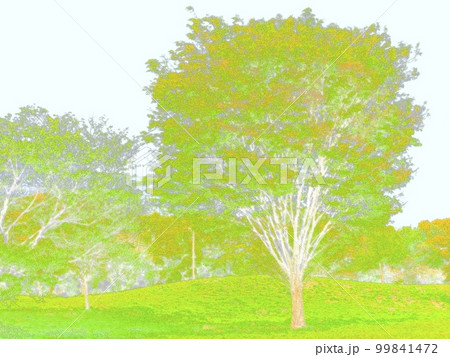 公園の樹木。新緑。イラスト風の写真。 99841472