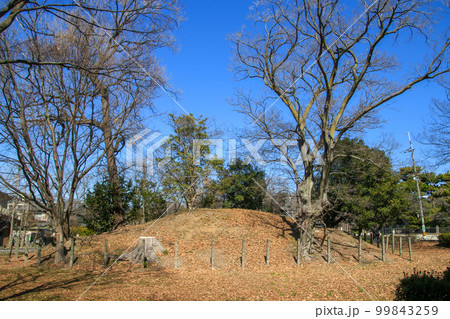 大仙公園 99843259