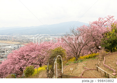 神奈川　西平畑公園 99843802